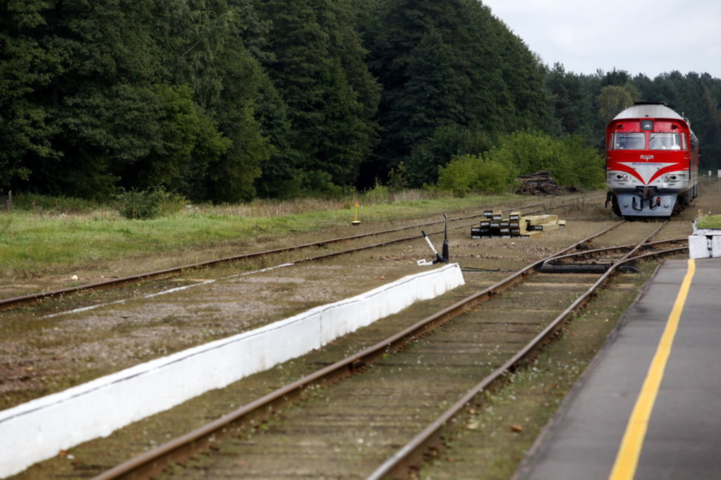 Tragišką įvykį tiriantiems pareigūnams mašinistas sakė, kad sustabdyti sąstato ir išvengti susidūrimo nebebuvo įmanoma.