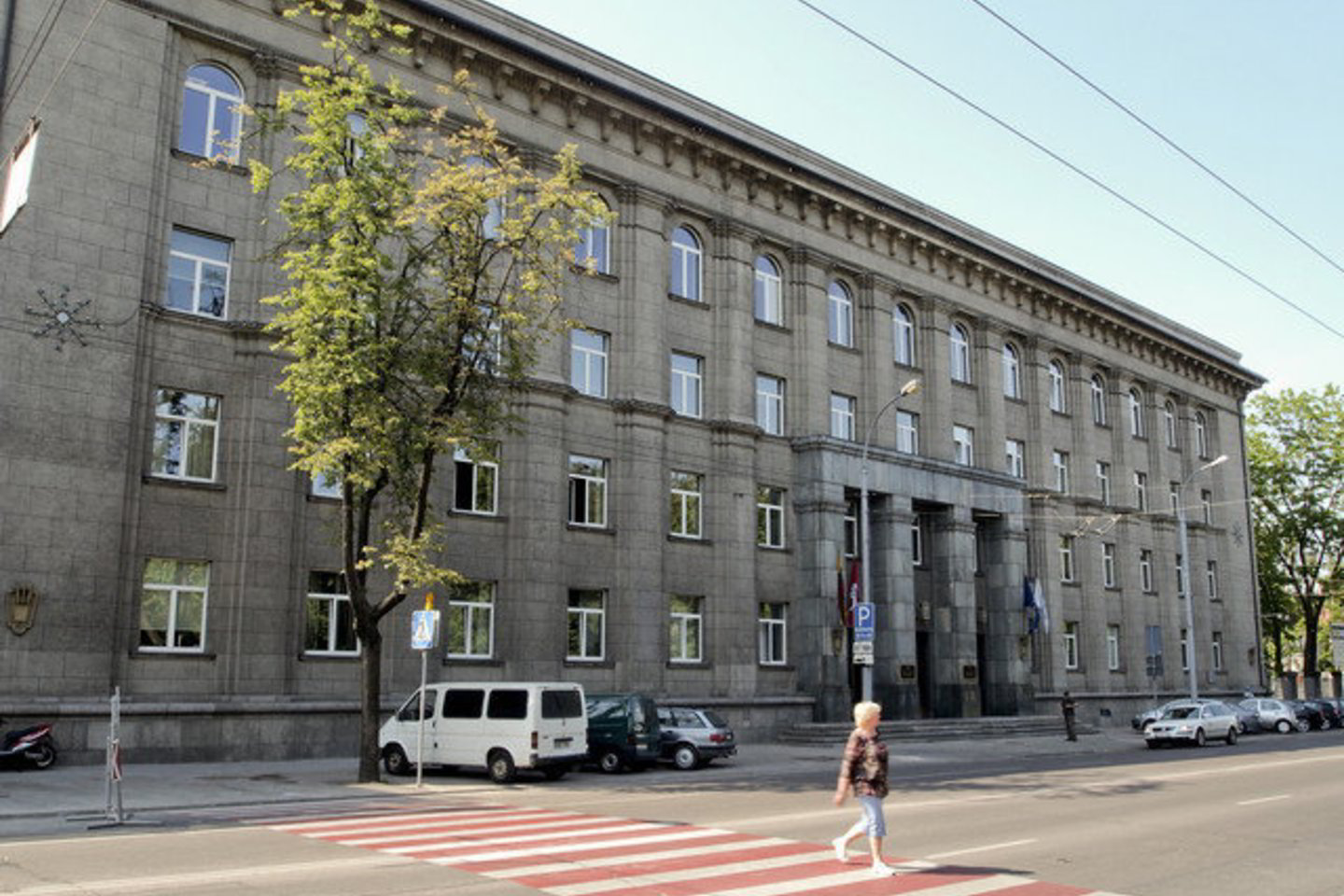 E.Bajarūnas URM Politikos direktoriumi dirbo nuo 2009 metų.