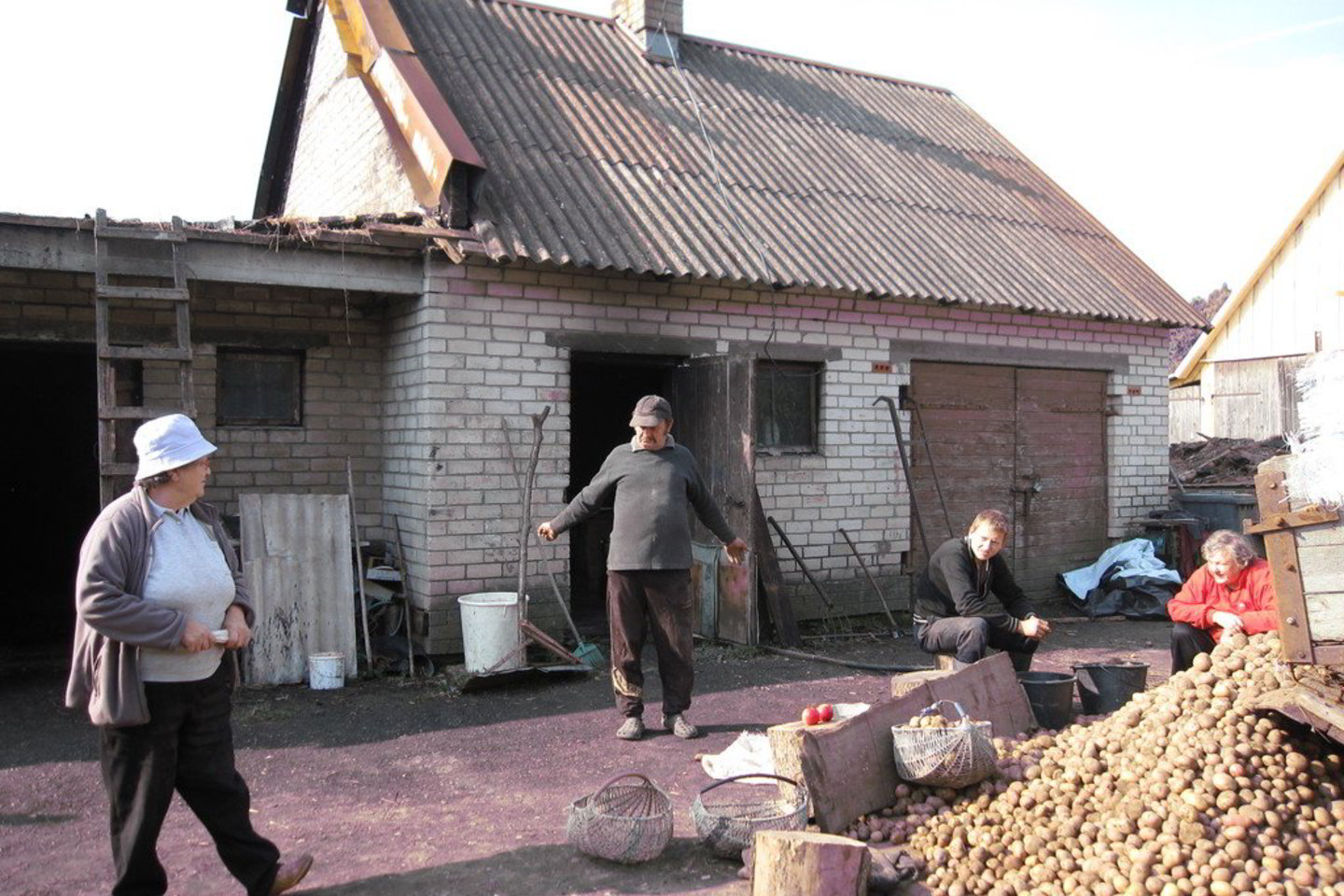 S.Pranckūnas (antras iš kairės) džiaugiasi, kad pavyko išgelbėti traktorių ir priekabą bulvių
