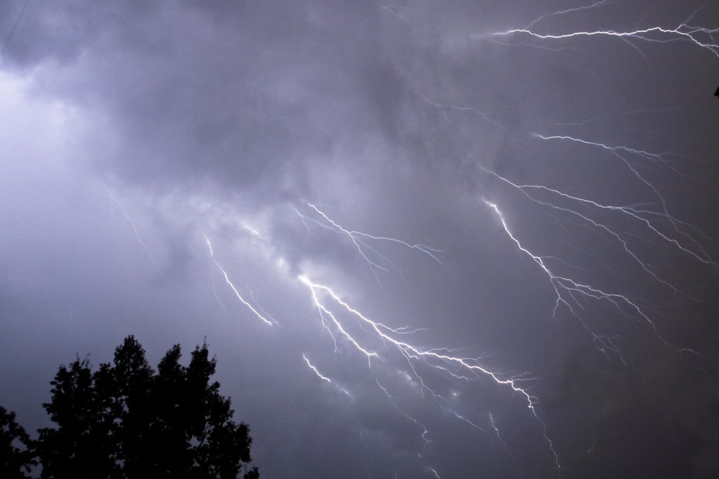 Pučiant stipriam vėjui, gali sutrikti elektros energijos tiekimas, virsti dideli medžiai, lūžti jų šakos.