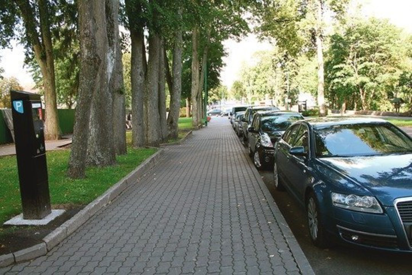 Palikti automobilį bet kurioje Palangos gatvėje iki vasaros nieko nekainuos.