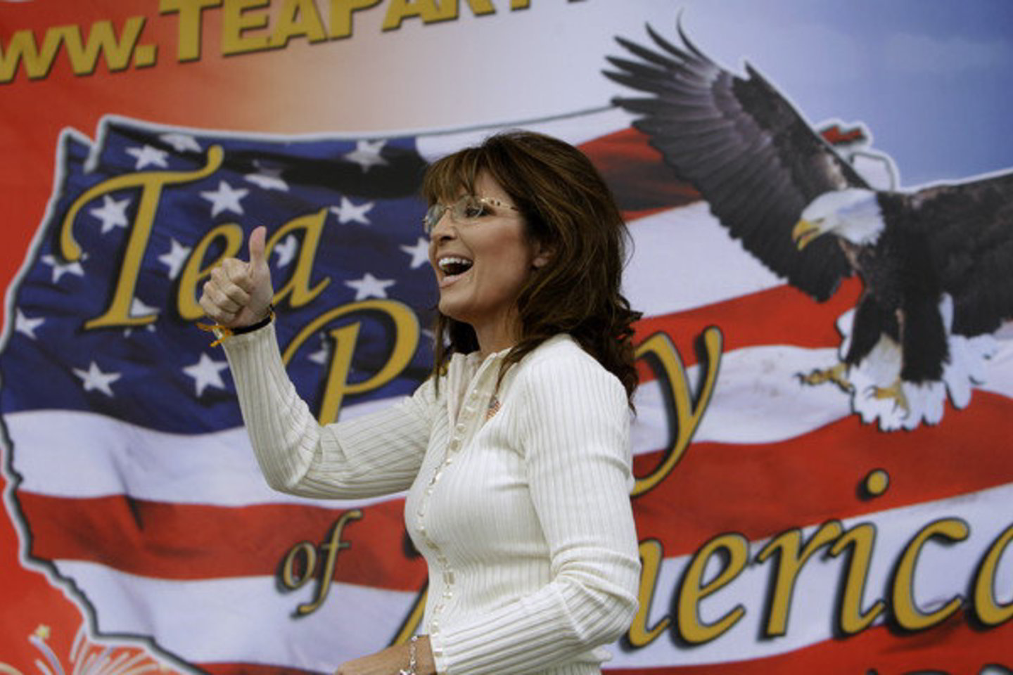 S.palin yra viena realiausių respublikonų kandidačių į JAV prezidento postą.