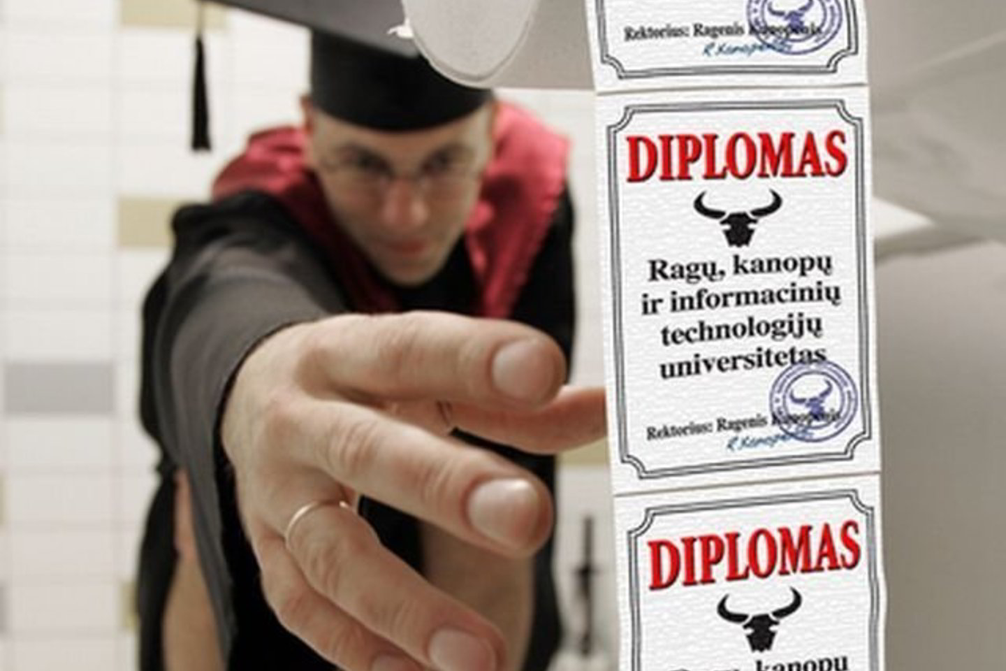 Universiteto diplomas buvo nieko vertas.