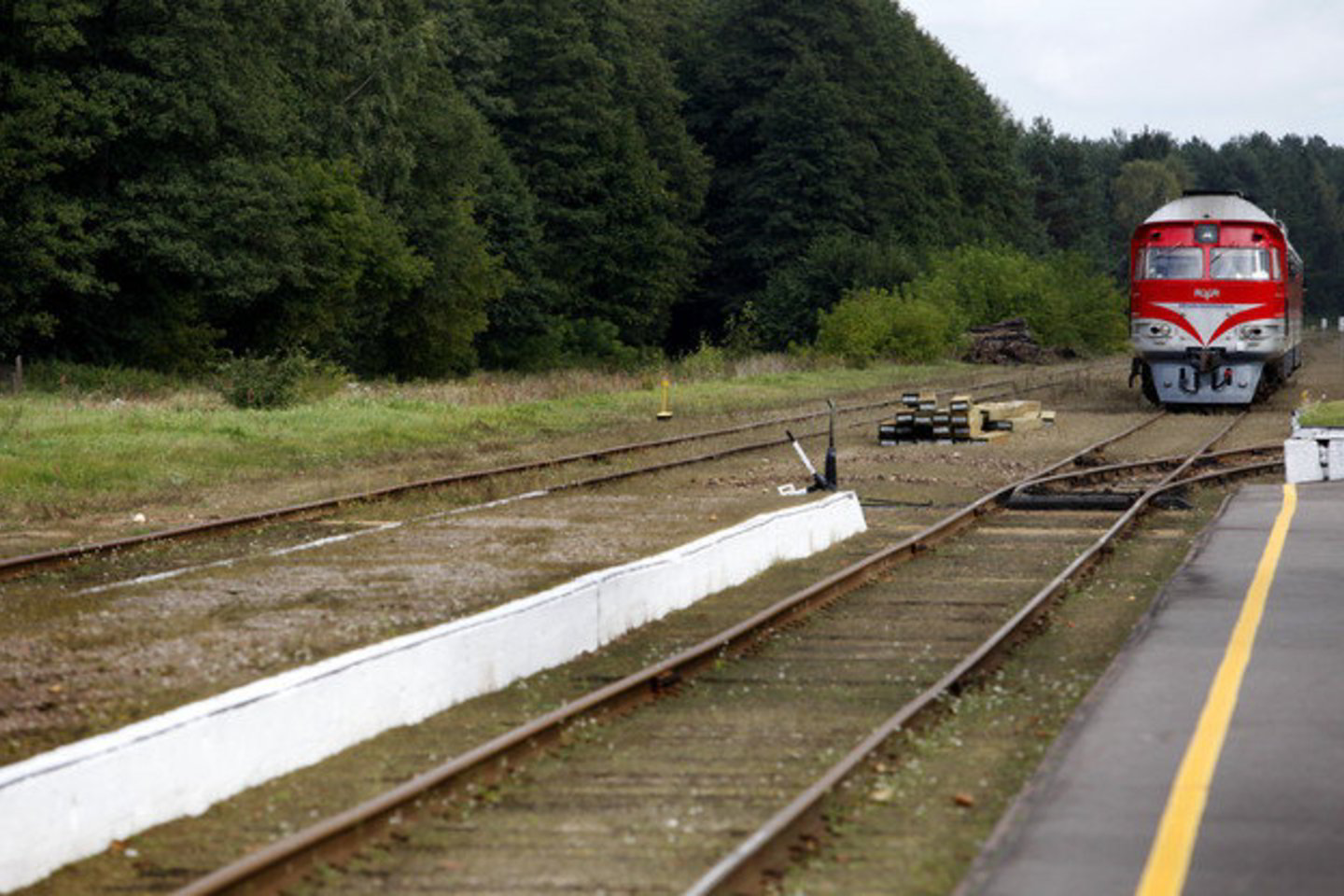 Seimo nariai sutiko, kad „Rail Baltica“ projekto įgyvendinimas kuo greičiau pasistūmėtų į priekį.