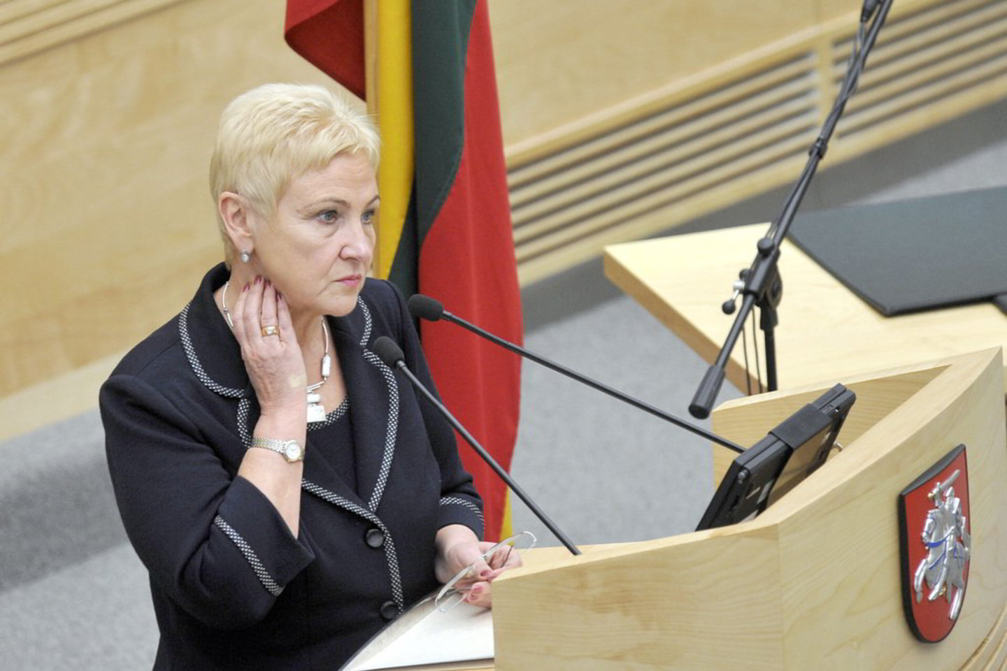 I.Degutienė atkreipė dėmesį, kad Vakaruose politikoje dažniau dalyvauja brandesnio amžiaus žmonės - per 50 metų.