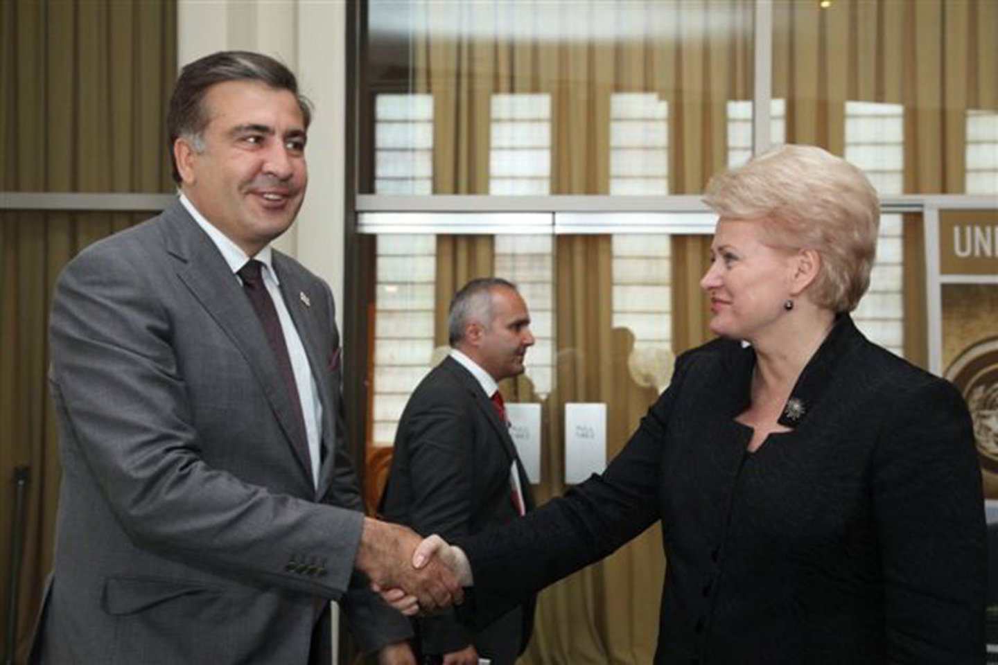 Niujorke D.Grybauskaitė susitiko su M.Saakašviliu.