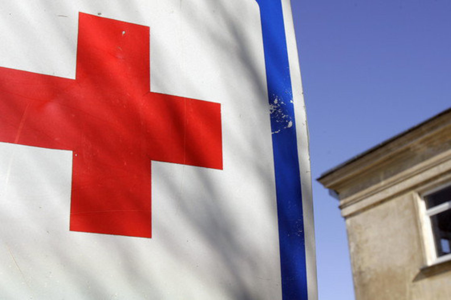 2009 metais Rusija išdavė užsieniečiams daugiau nei 2 mln. darbo leidimų.