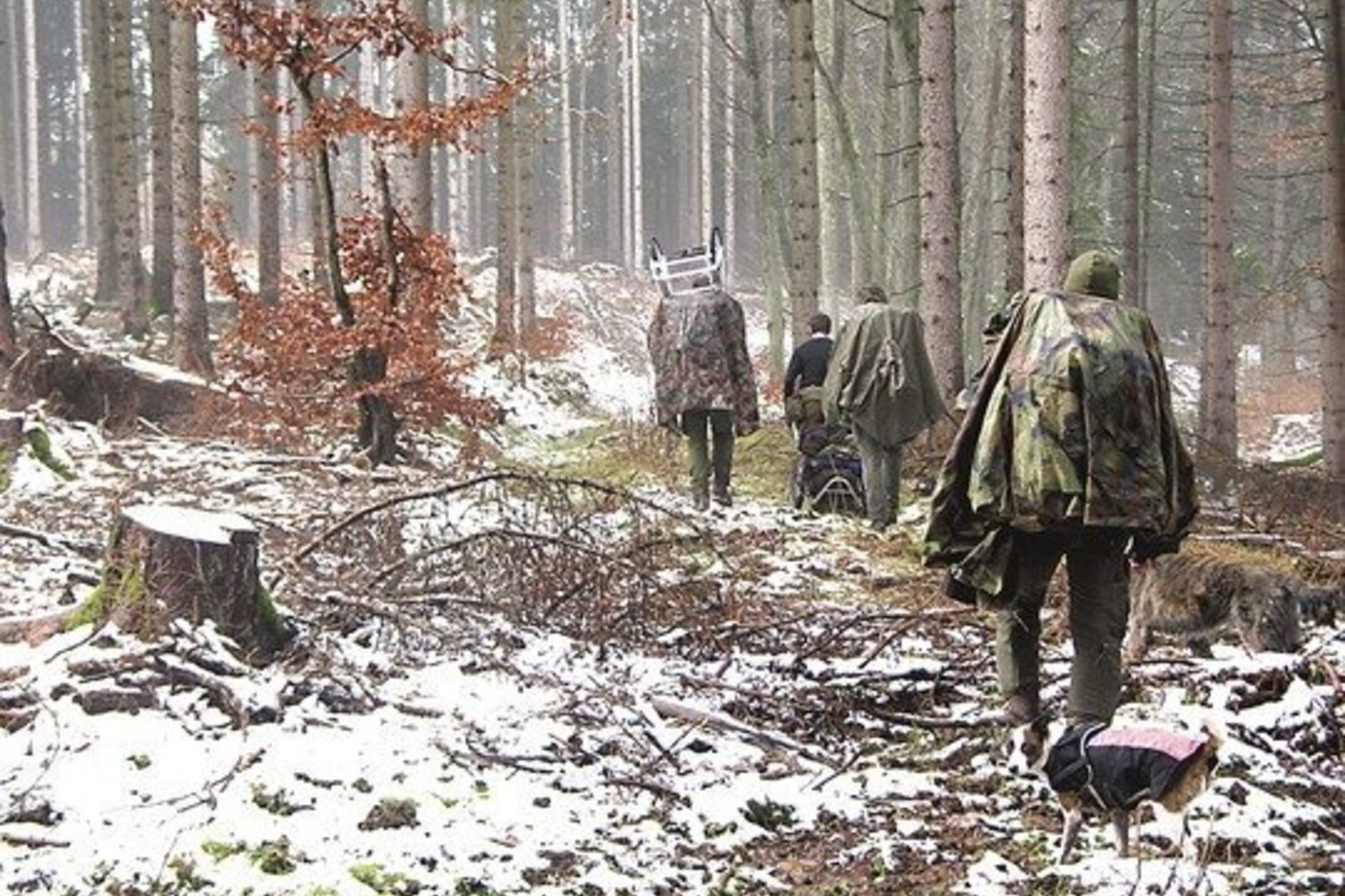 Vokietijos miškus šukuojantys pareigūnai kol kas nerado jokių Ray istoriją patvirtinančių įrodymų.
