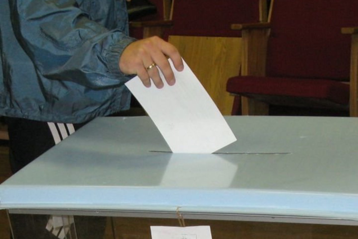 V.Jasevičius į tarybą pateko pagal Liberalų ir centro sąjungos, o V.Macienė - pagal Tėvynės sąjungos-Lietuvos krikščionių demokratų sąrašą.
