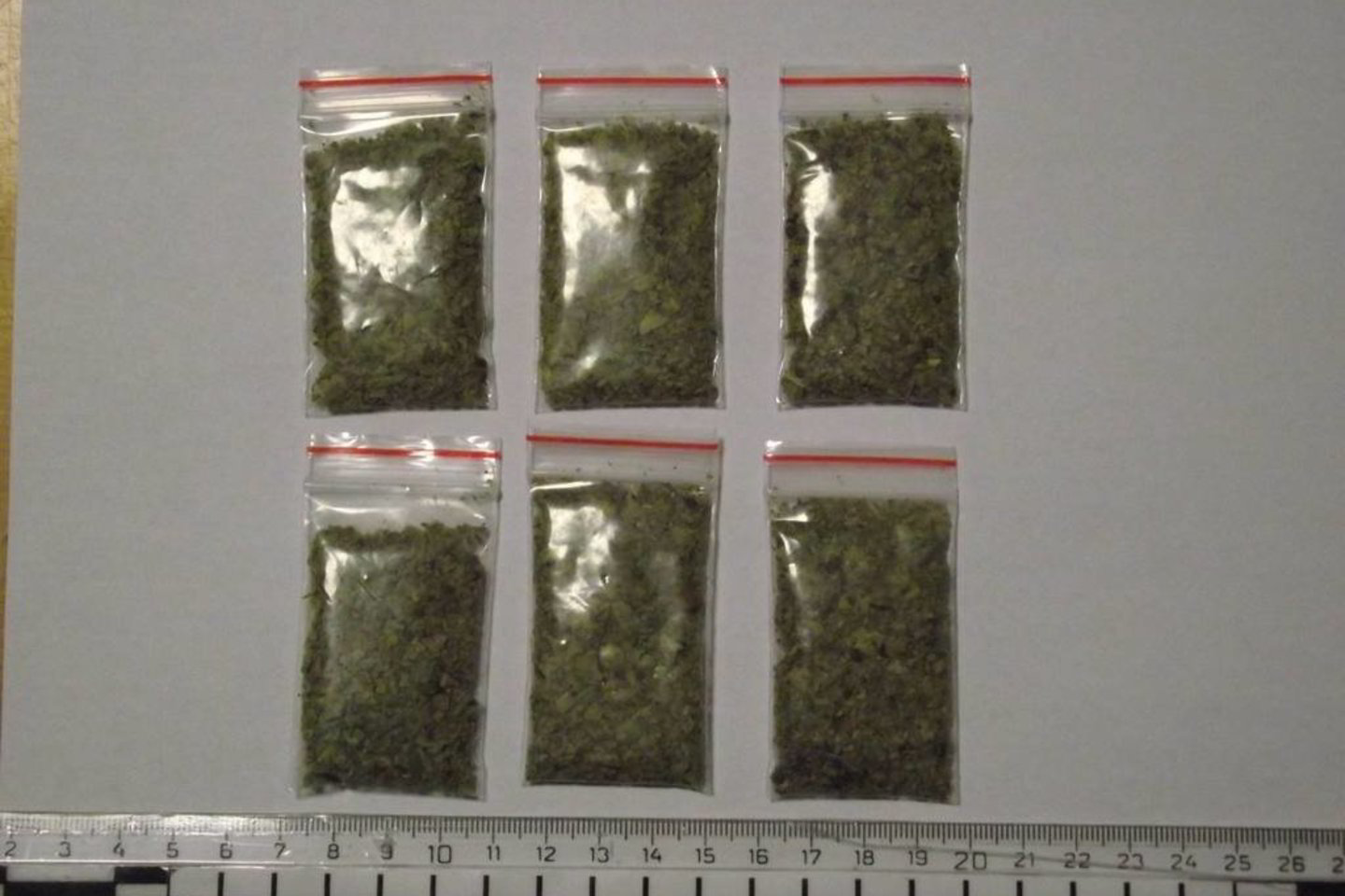 Vairuotojo rūbuose aptikti šeši plastikiniai maišeliai su augalinės kilmės medžiaga, panašia į narkotines medžiagas.
