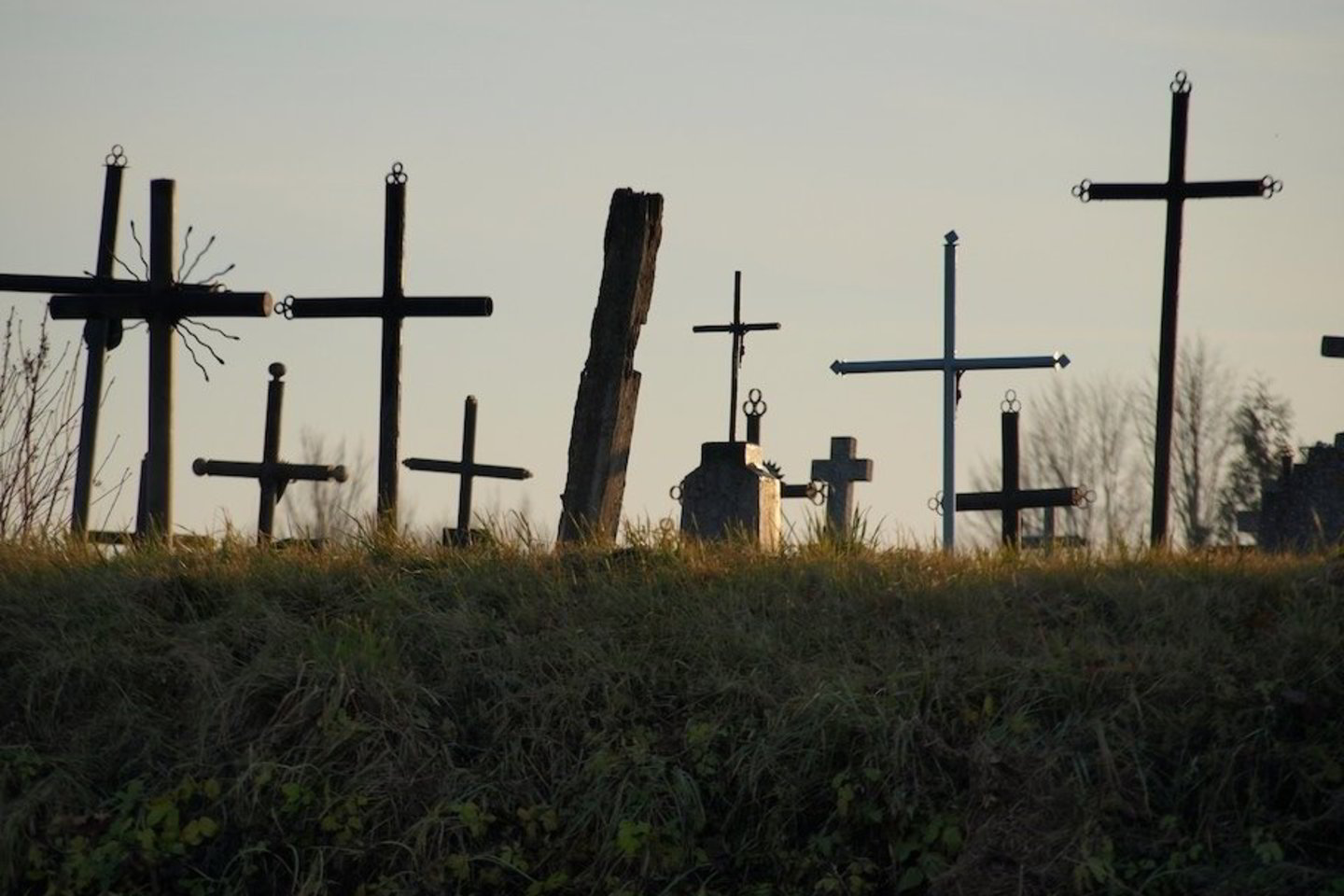 Nors darbininkai teritoriją aptvėrė tvora, o kapą uždengė plėvele, savaitgalį ten landžiojusiems paaugliams parūpo apžiūrėti, kas yra išraustoje duobėje.