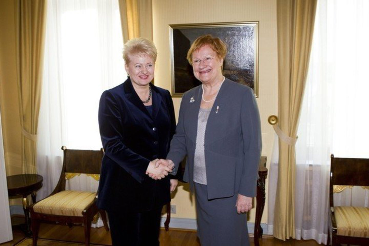 Darbo vizito į Helsinkį išvykusi Lietuvos prezidentė Dalia Grybauskaitė susitiko su Suomijos prezidente Tarja Halonen.