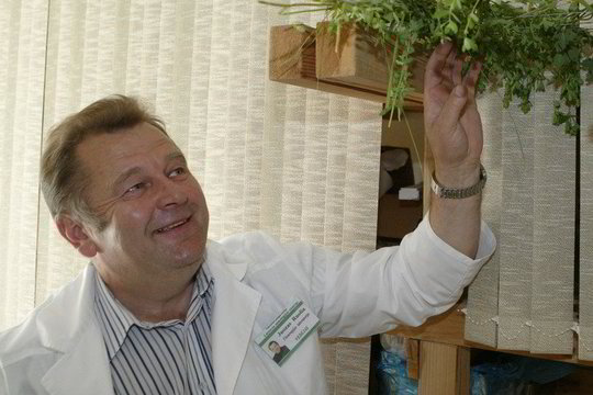 Fitoterapeutas J. Ruolia: česnako reikėtų vengti ne tik dėl blogo kvapo