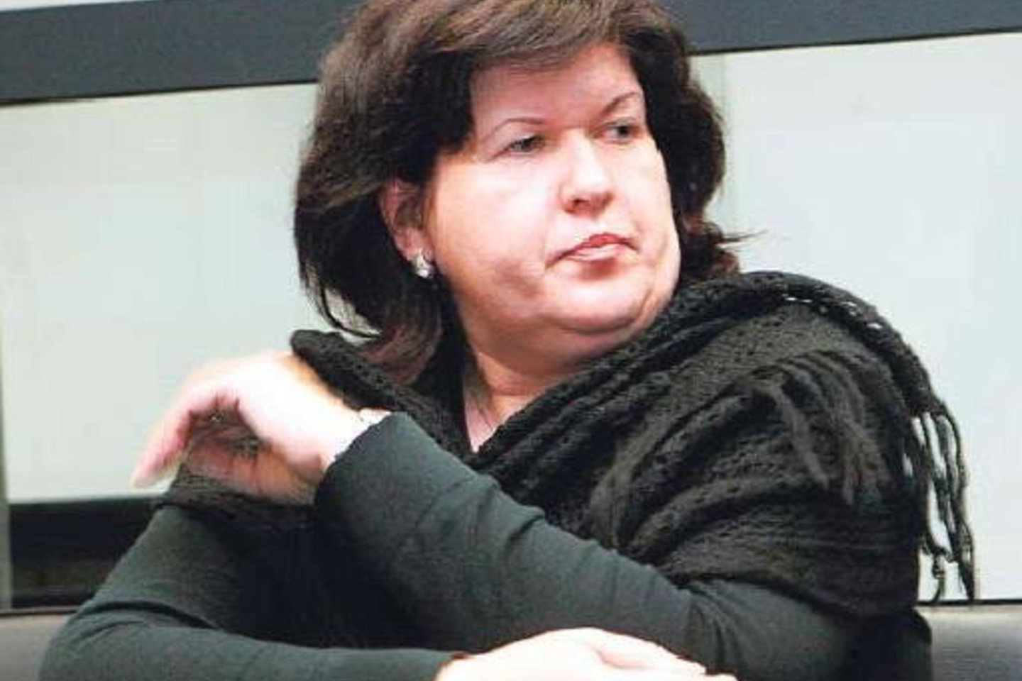 Anksčiau prokurore ir teisėja dirbusi teisiamoji V.Pilitauskienė stebėjosi prokurorų jai pareikštais kaltinimais.