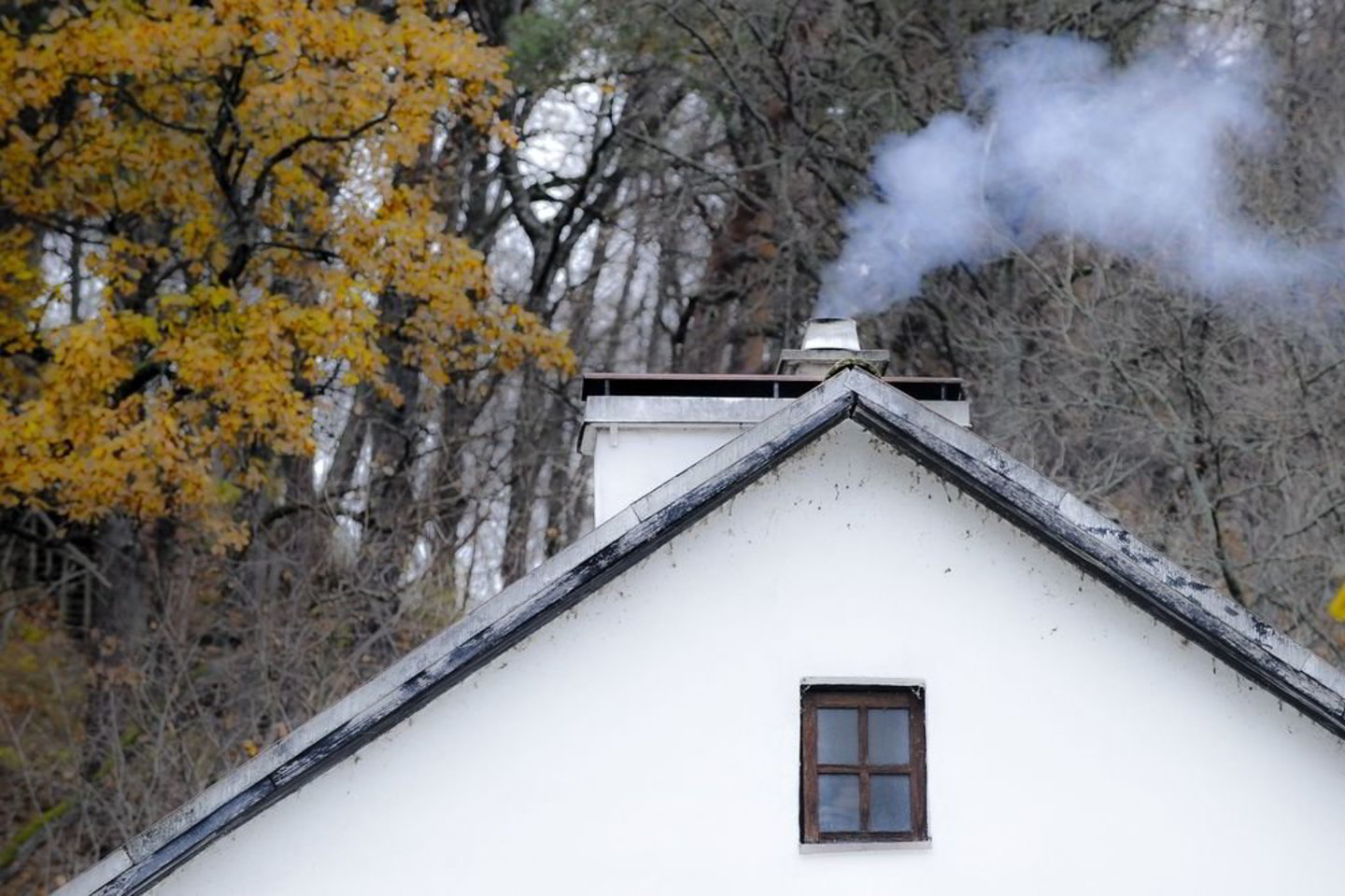 Šilta lapkričio pradžia nėra anomalija, bet tai liudija apie klimato kaitą.