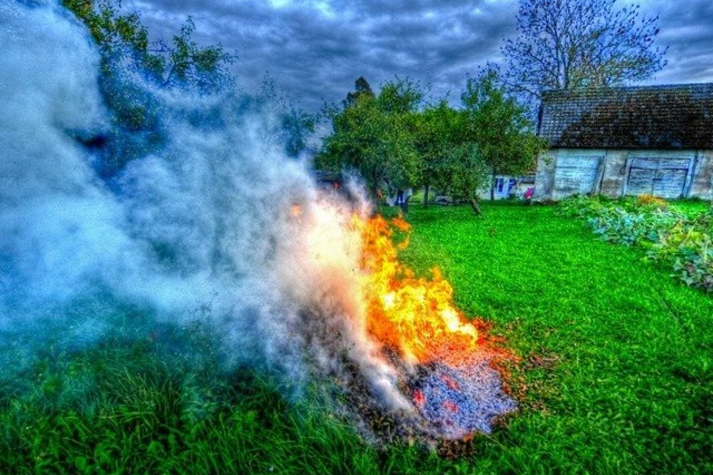 Kilo įtarimas, kad gyvatvorė buvo aplieta benzinu ir padegta.