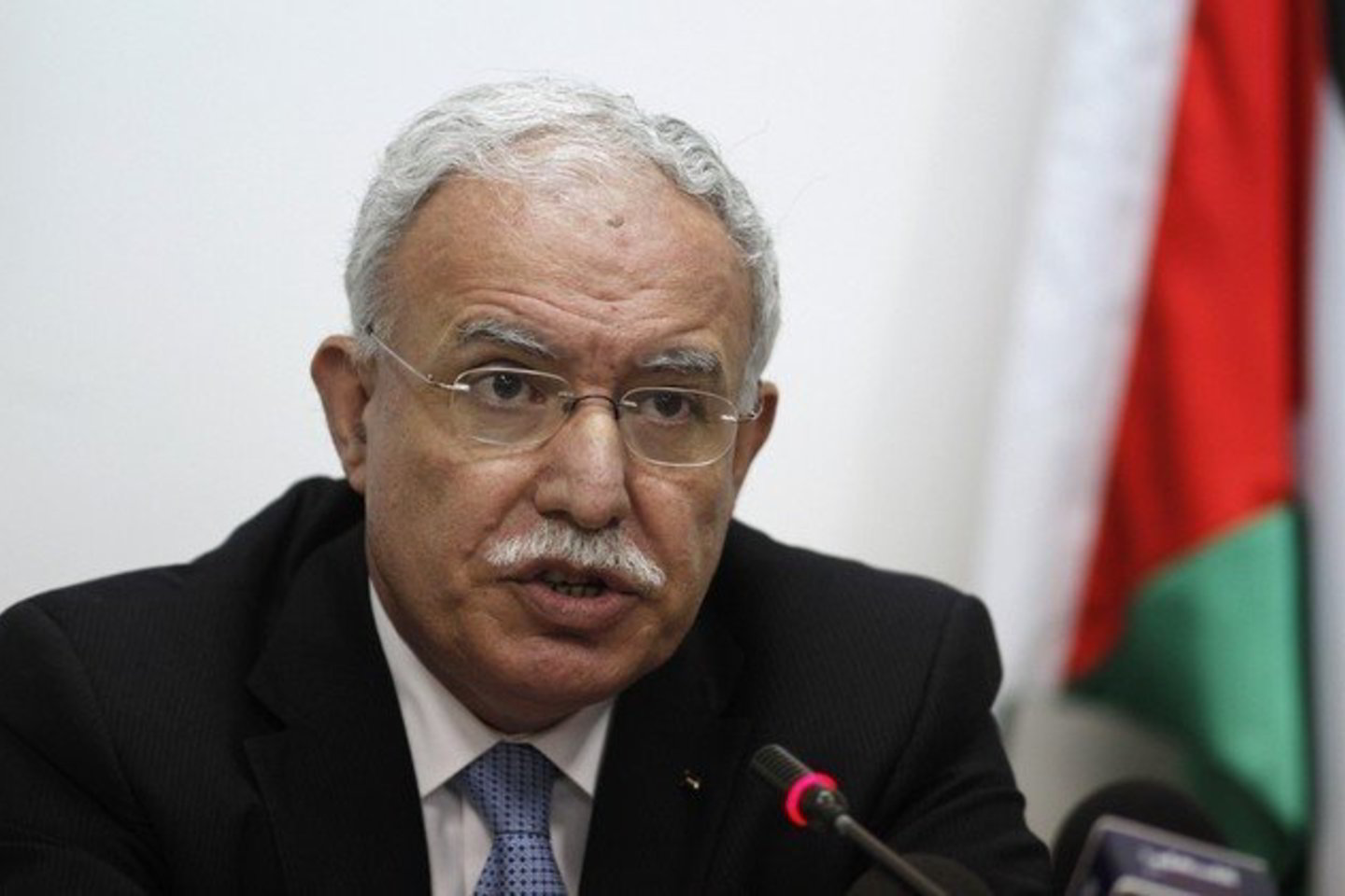 R. al Malikis sakė, kad palestiniečiai jau seniai galėjo įgyti stebėtojos statusą, ir šiuo metu jų tai nedomina.