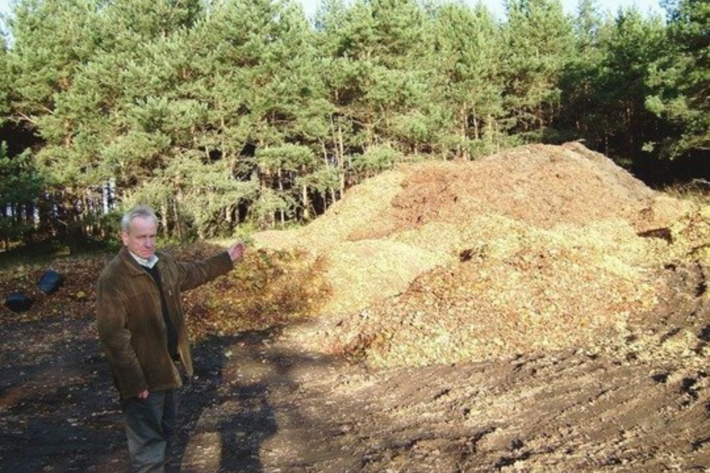 „Palangos komunalinio ūkio” direktorius K.Skierus šįmet tikisi sukaupti iki 2 tūkstančių tonų nukritusių lapų.