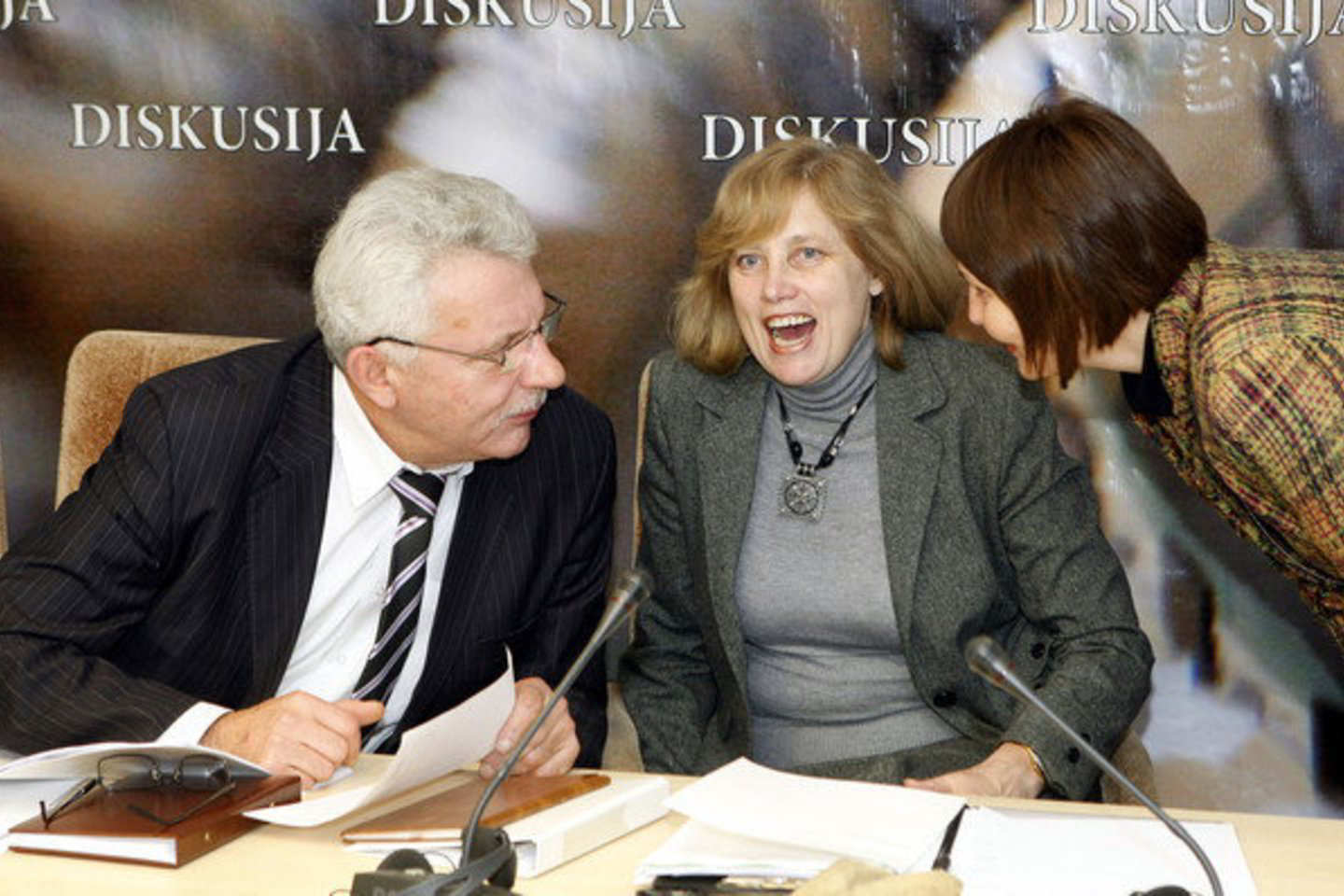 A.Salamakinas kreipimesi kaltinamas sužlugdęs komisijos darbą, nes esą dėl jo netinkamo vadovavimo komisijos darbe nedalyvauja šeši iš 14 narių.