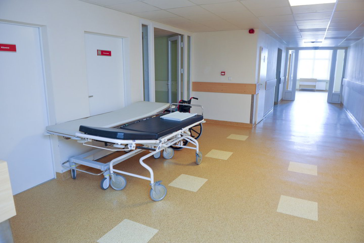 Vilniaus vidurinėje mokykloje „Lietuvių namai“ įregistruotas ūmus žarnyno infekcijos protrūkis.