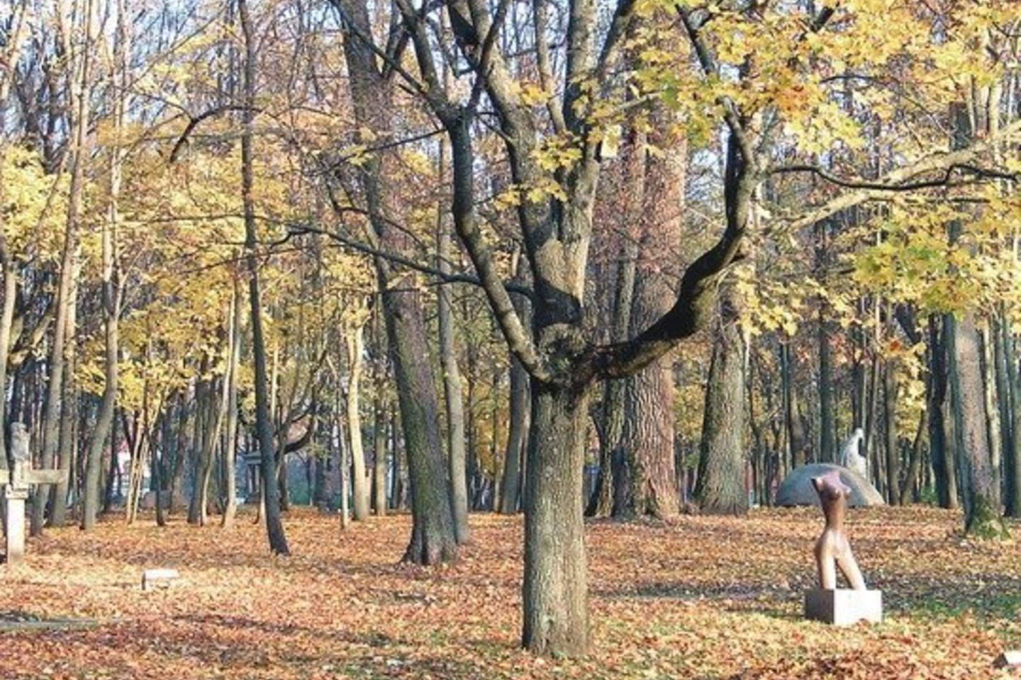 Kapinės šioje Klaipėdos vietoje veikė iki 1960 metų. Dabar ant žmonių kaulų įrengtas miesto skulptūrų parkas.
