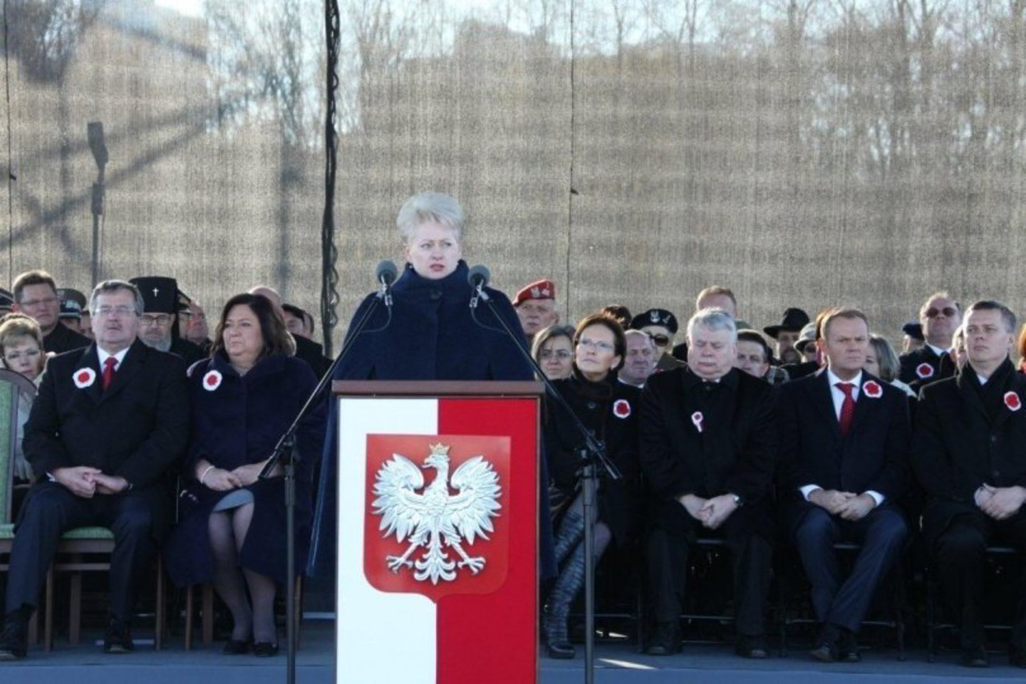 D.Grybauskaitė padėkojo demokratiją šalyje puoselėjusias žymias asmenybes.