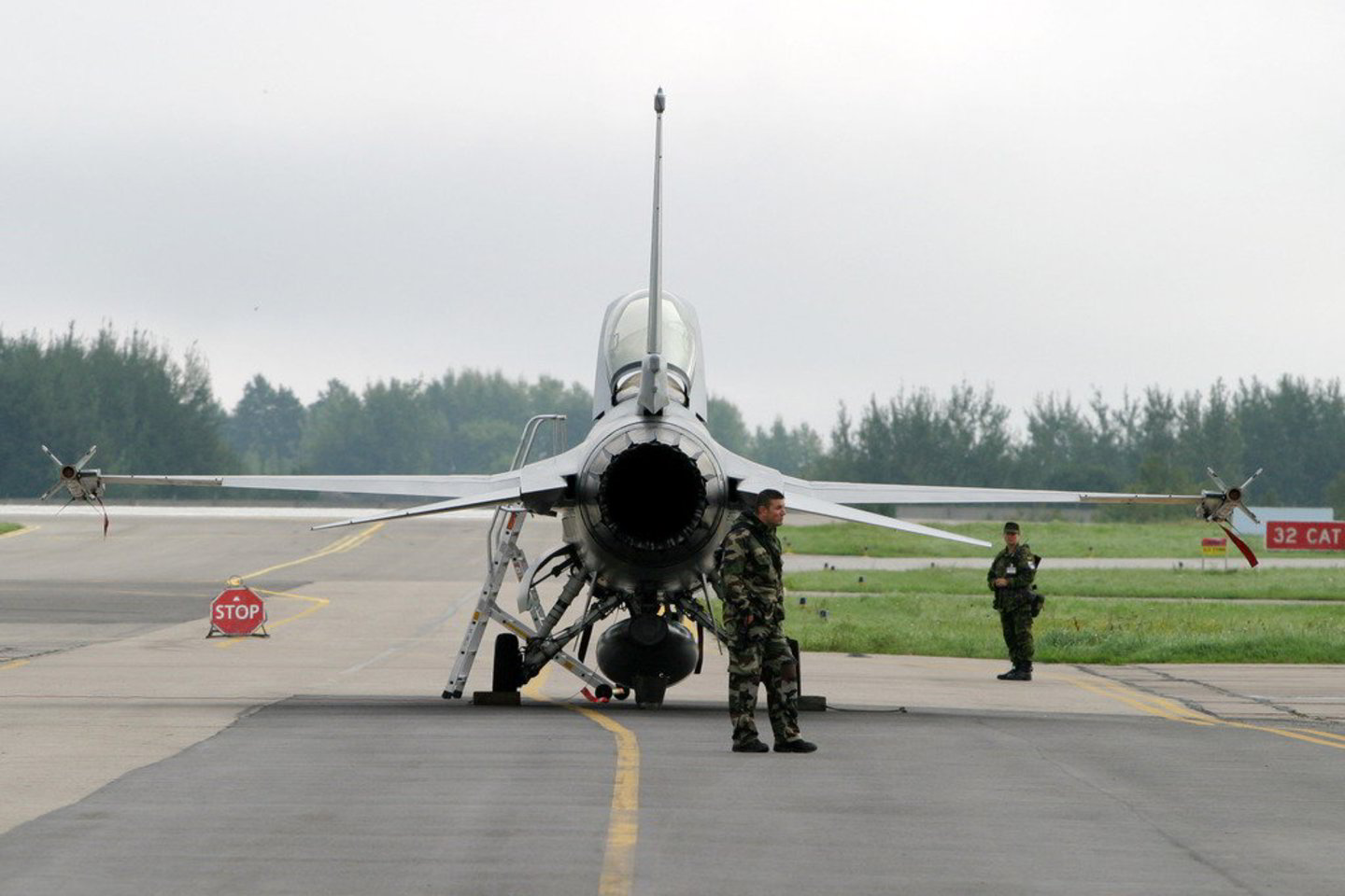 E.Zingeris neatsisakė planų karinį Šiaulių aerodromą ir Aviacijos bazę pavadinti R.Reagano vardu.