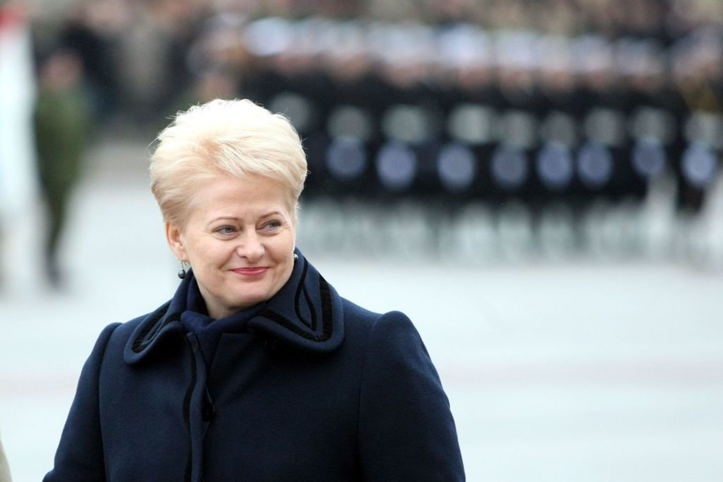 Prezidentės D.Grybauskaitės pasiūlytos pataisos Seime kliuvo jau nuo pirmojo svarstymo.