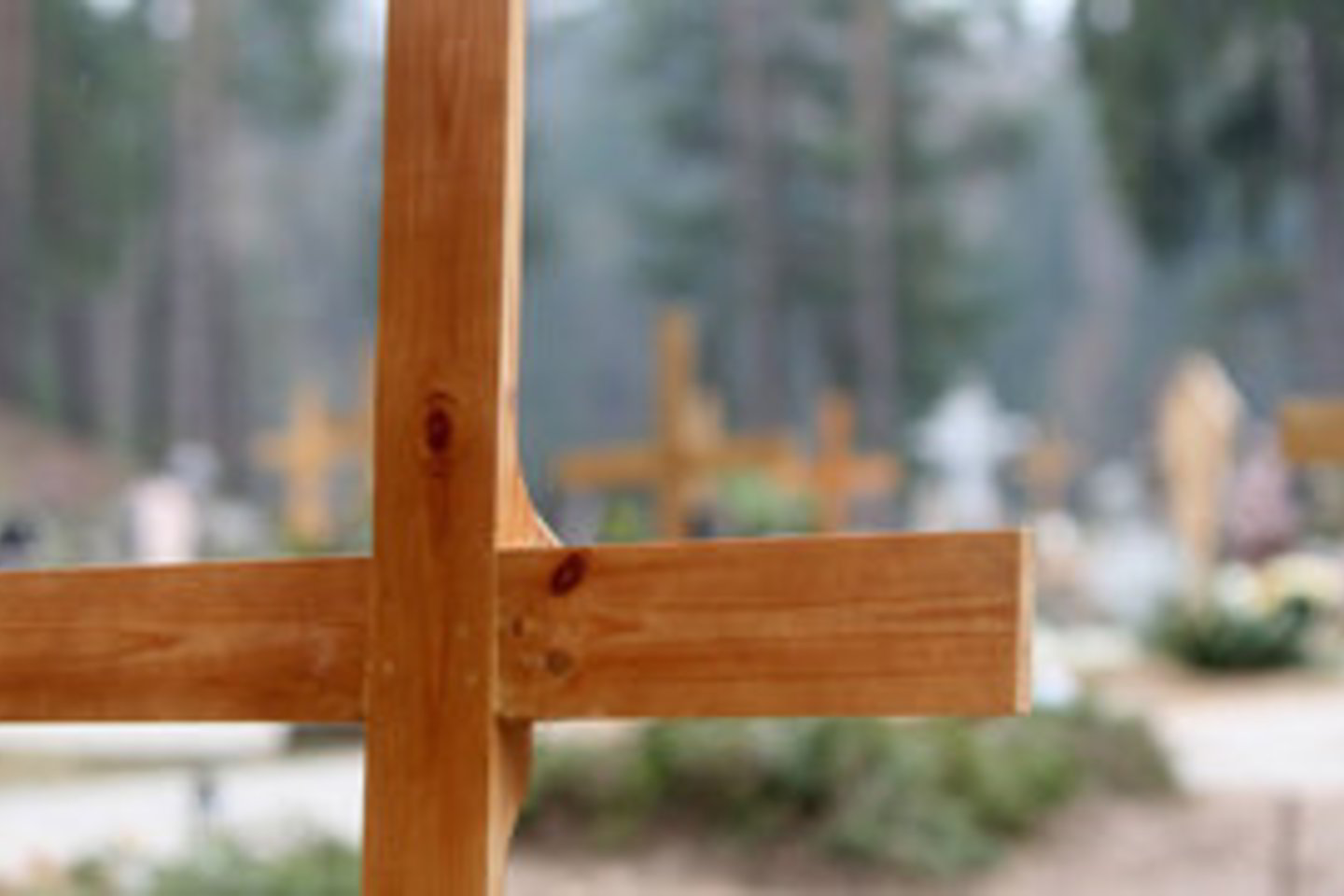 Tikslią moters mirties priežastį nustatys teismo medicinos ekspertas.