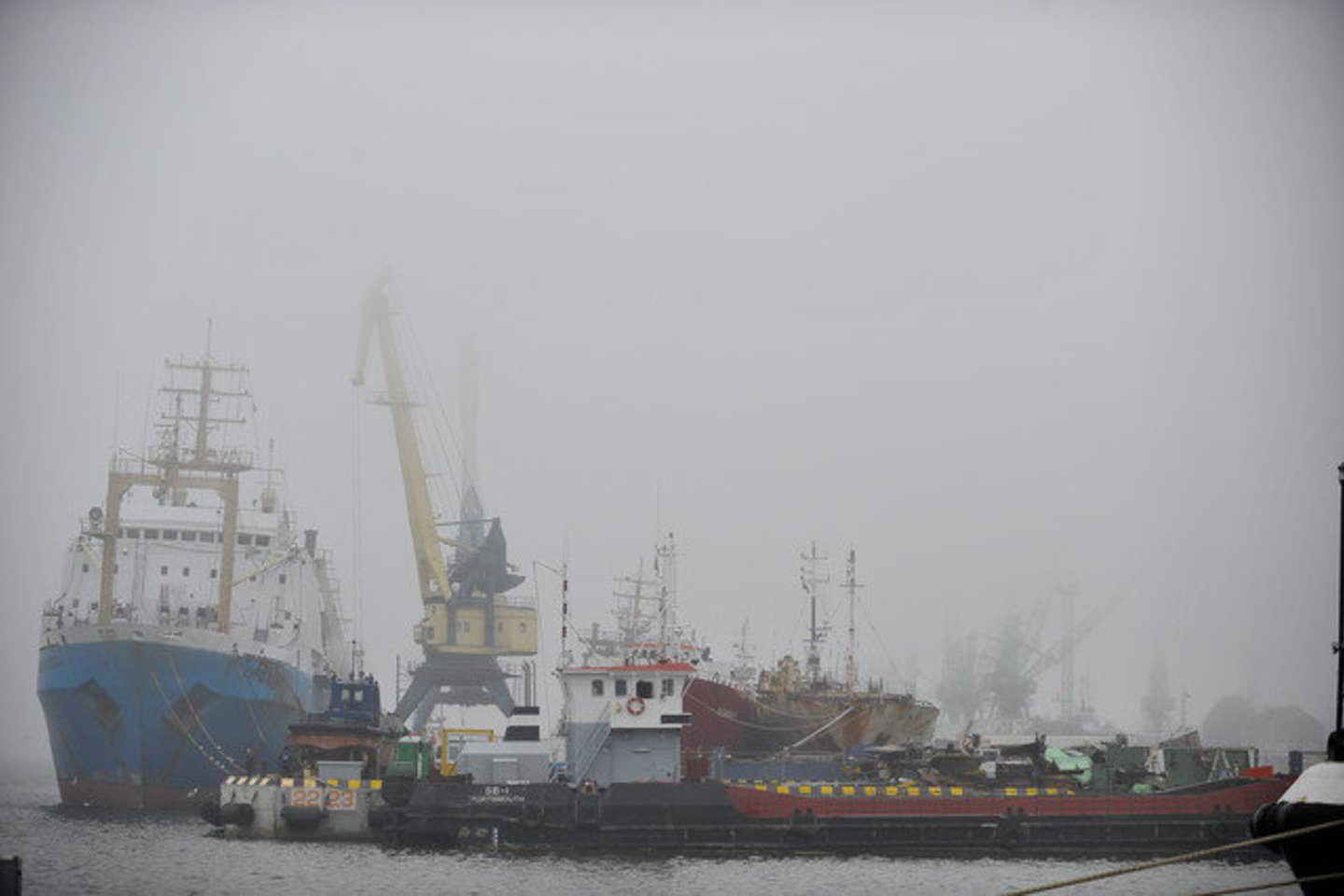 Ro-ro krovinių krova išaugo 14,2 proc. ir siekė 440,2 tūkst. tonų.