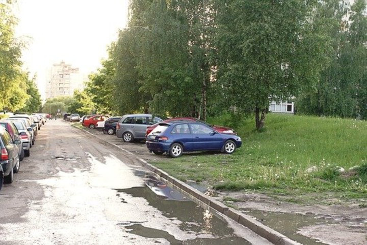 Kauniečiams siūloma vietoj želdynų įrengti aikšteles automobiliams.