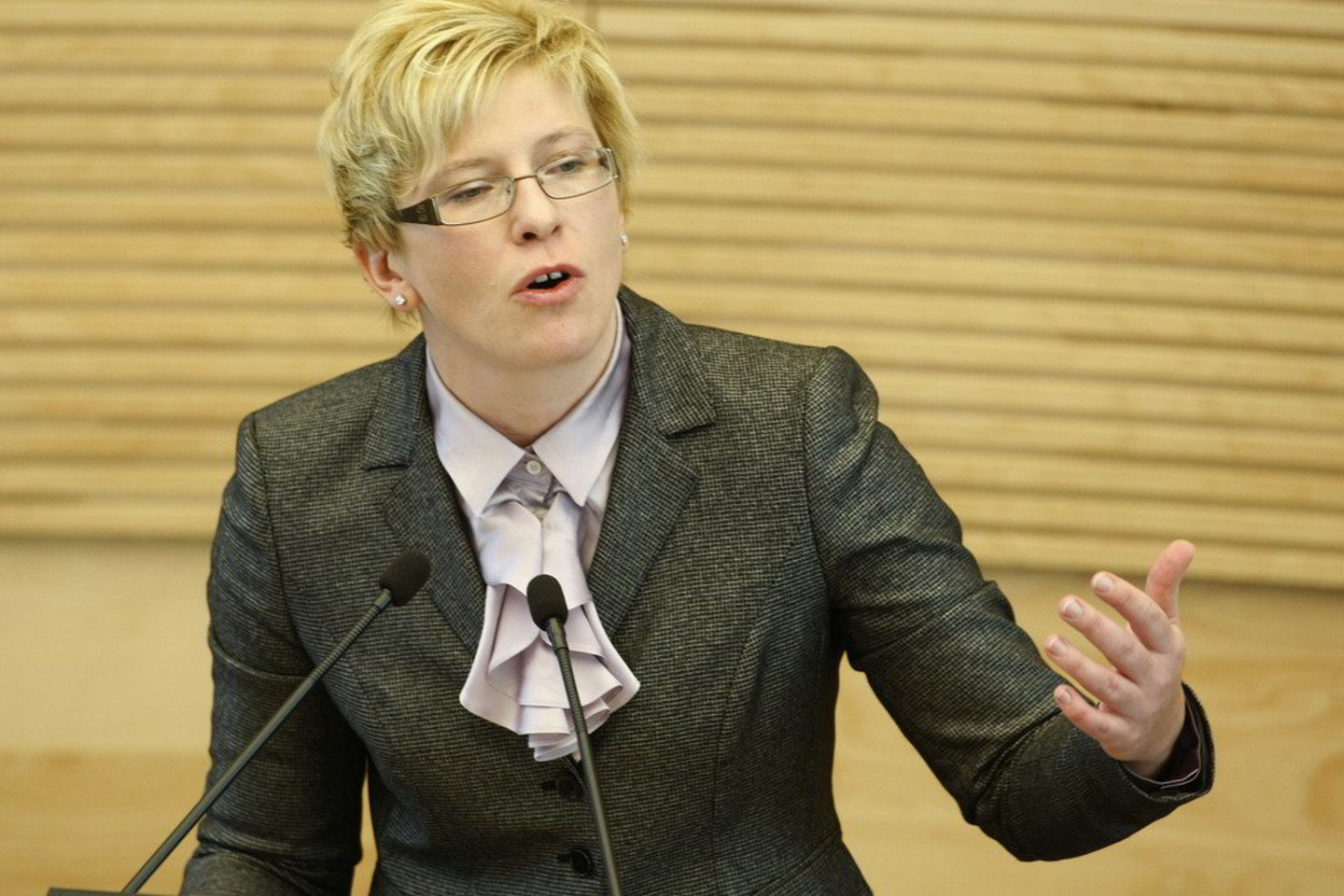 I.Šimonytė: "Žmonės pasigenda aiškesnio vaizdo, kad daugiau uždirbantys gyventojai daugiau prisideda ir prie biudžeto“.