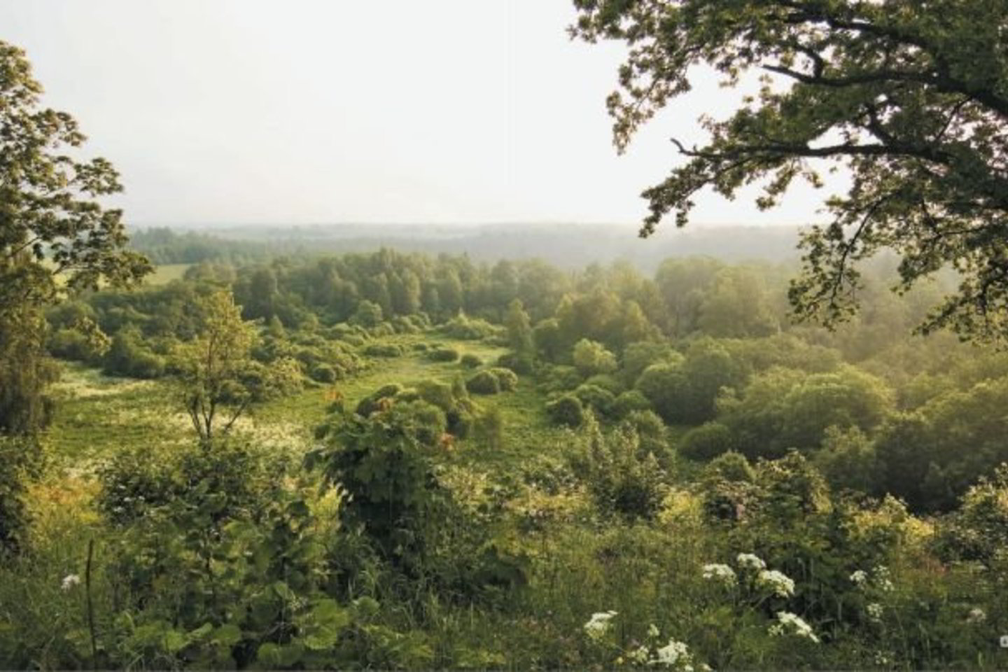 Vaizdingiausia panorama – į šiaurės pusę, Girgždūtės link.