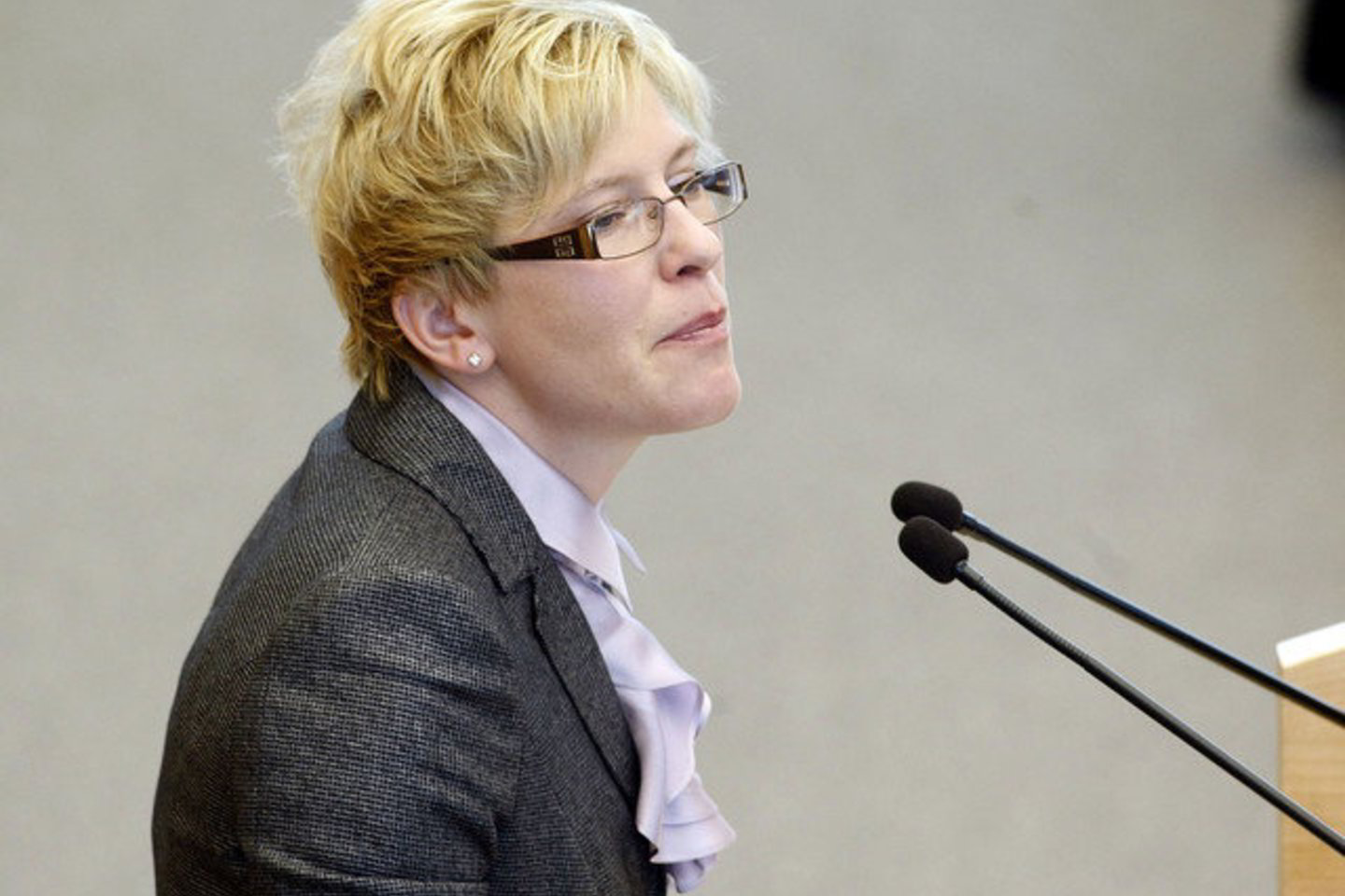 I.Šimonytė Seime pristatė Vyriausybės pakoreguotą kitų metų biudžeto projeką.