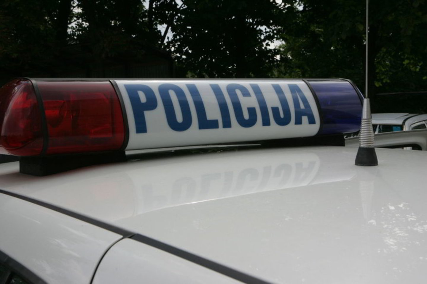 Trakų rajono policijos komisariato pareigūnai skubiai pradėjo vaiko paiešką.