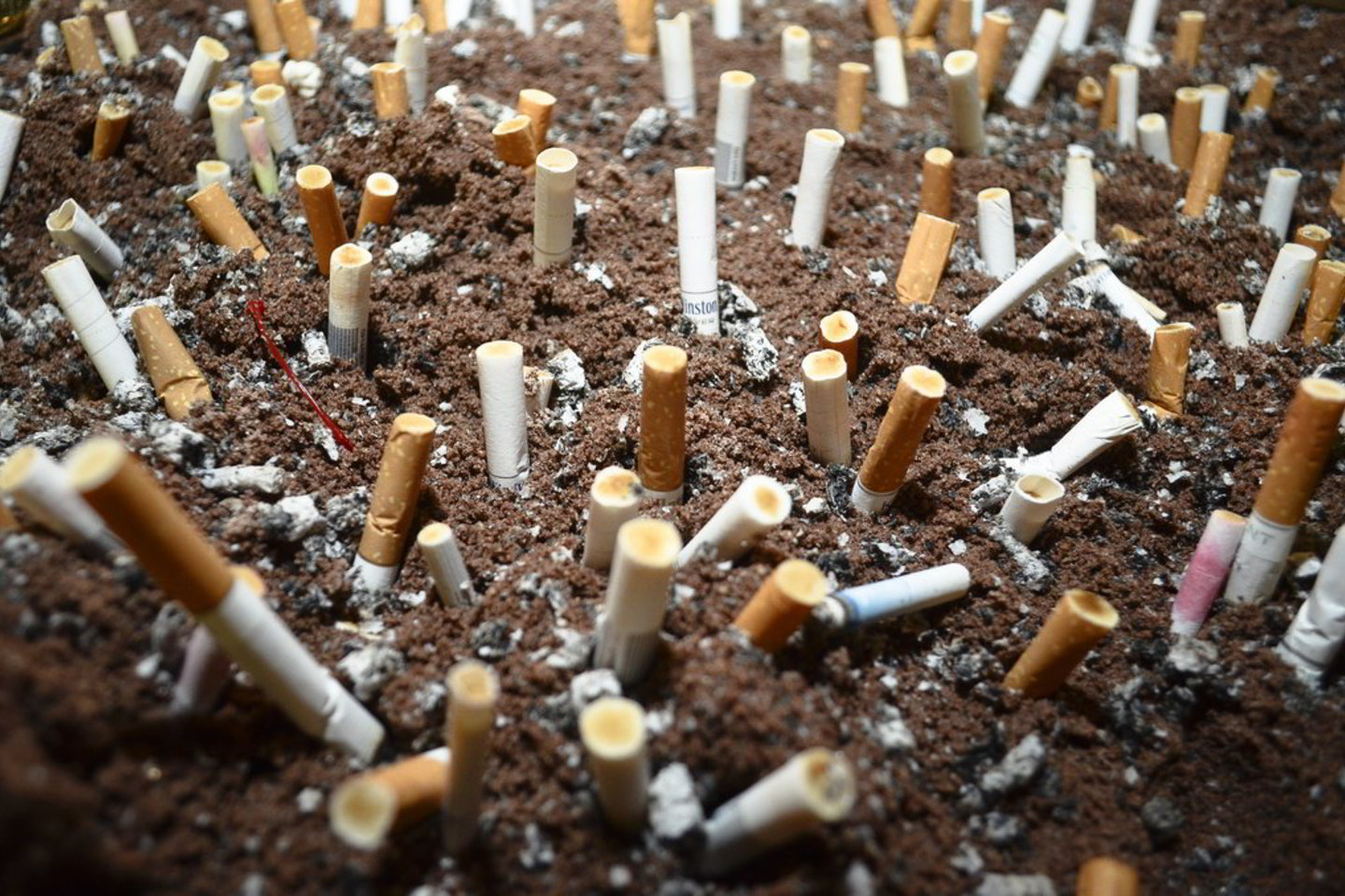 Maksimalios mažmeninės cigarečių kainos spausdinimas ant banderolės didina banderolės savikainą.