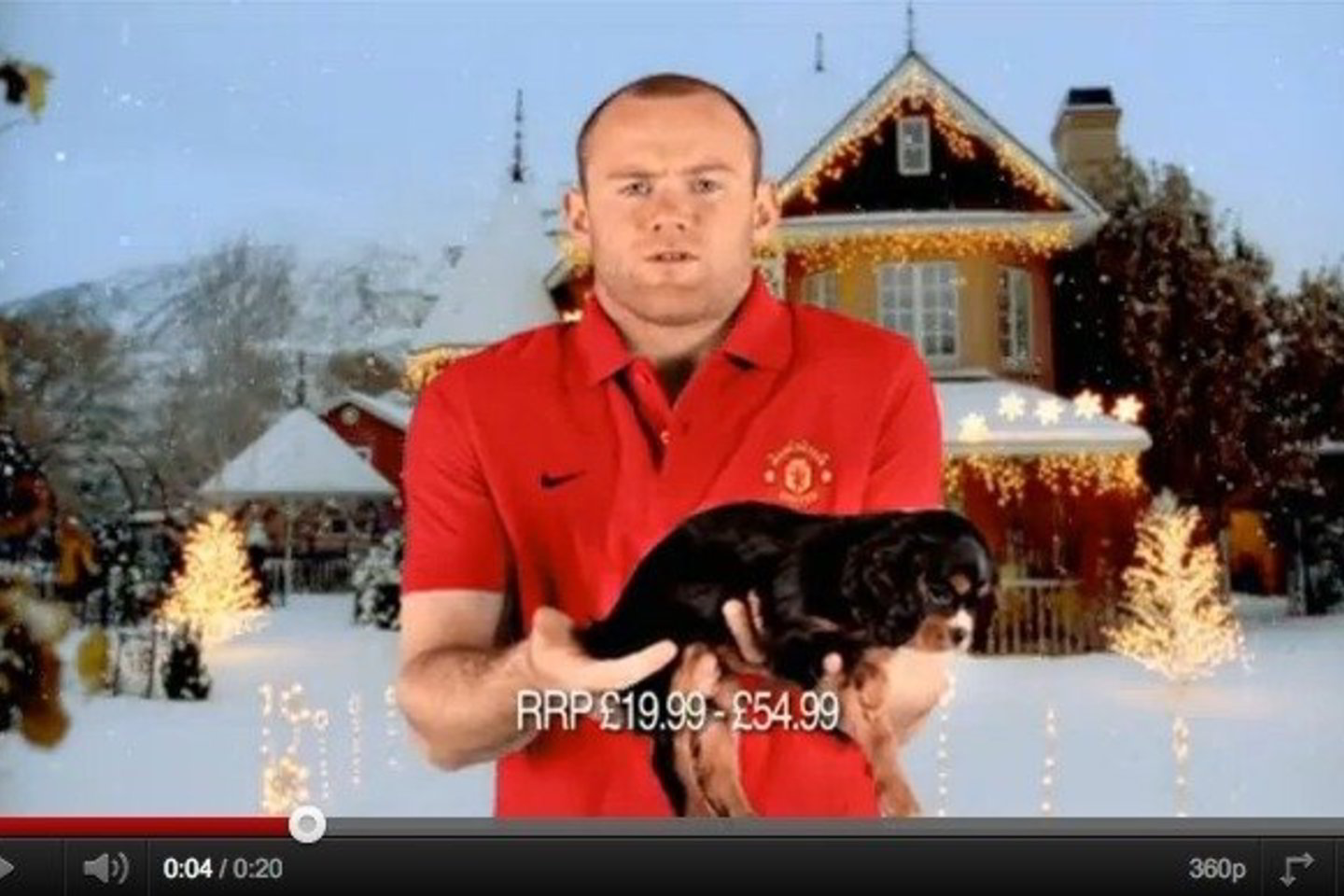W.Rooney nežinojo, ką daryti su gautu šuniuku.