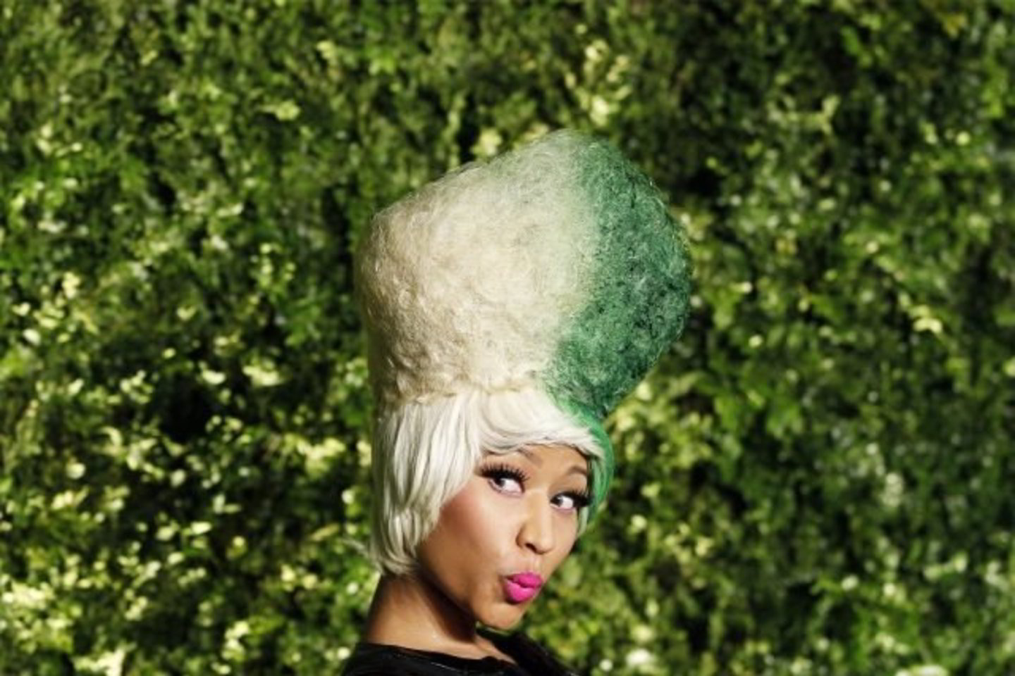 Atlikėja Nicki Minaj atvyko į labdaringą renginį, skirtą gamtai saugoti.