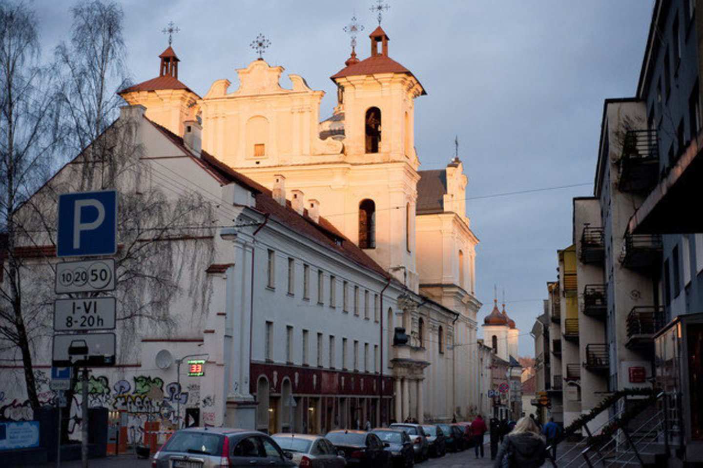 Galutinis sprendimas šiuo klausimu turėtų būti priimtas jį apsvarsčius tarybos komitetuose.