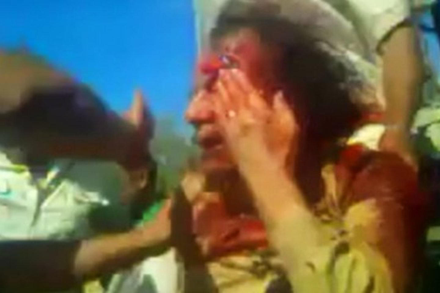 M.Gaddafi žuvo spalio mėnesį po to, kai sukilėliai jį sučiupo gimtajame Sirto mieste
