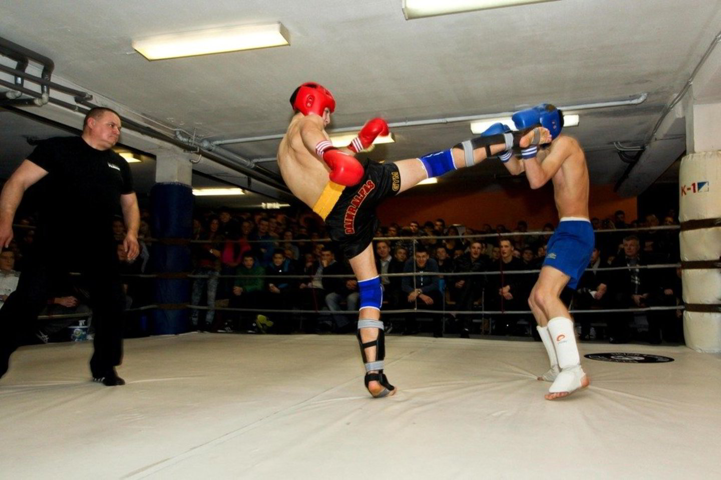 Šeštadienį Kaune vyko jau tradiciniu tapęs Kalėdinis bušido turnyras "Dainralfas 2011".