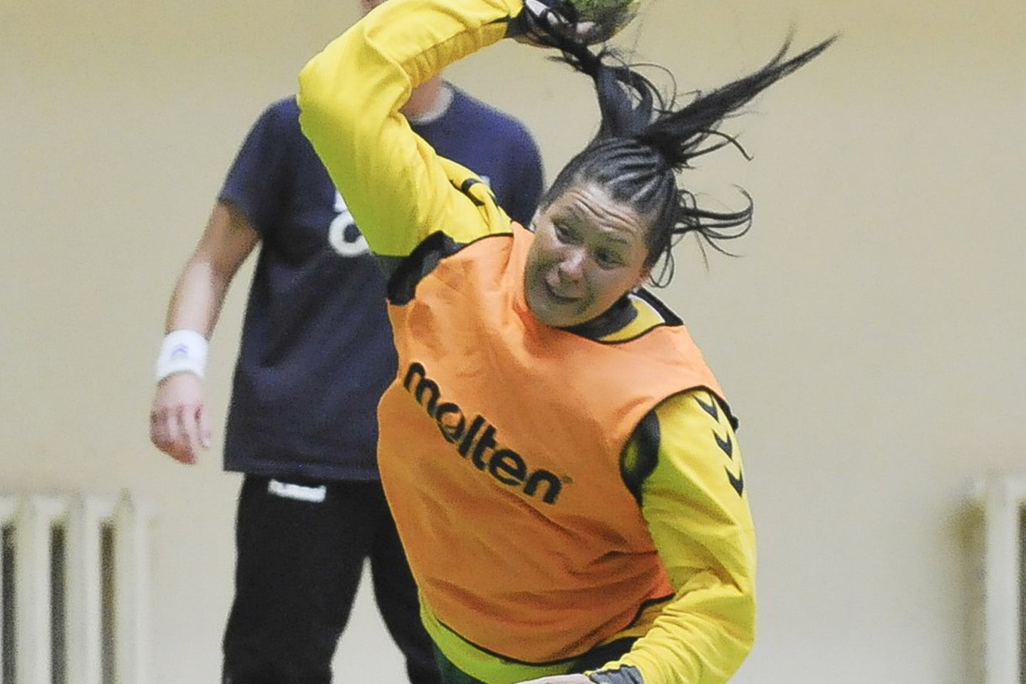 V.Ščiavinskas