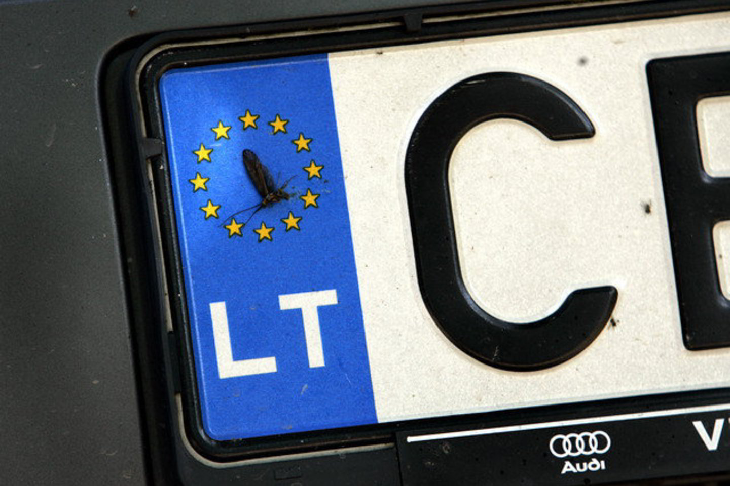 Lietuvoje registruoto automobilio savininkas turėtų kreiptis į valstybės įmonę „Regitra“ dėl naujo valstybinio numerio ženklo.