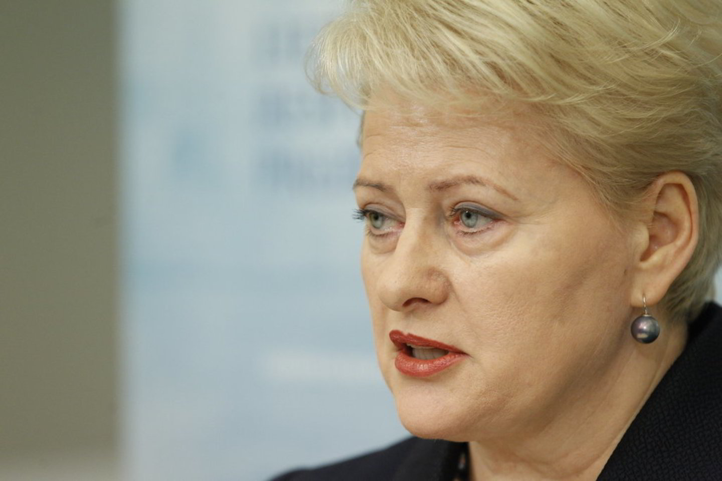 D.Grybauskaitė: „Svarbiau už viską yra mergaitės interesai.“