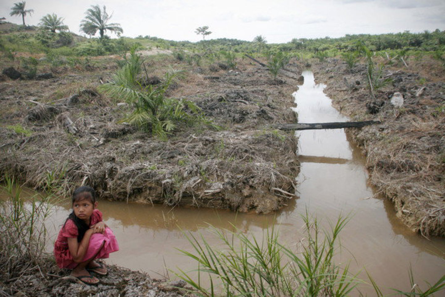 Didžiuliame Indonezijos salyne milijonai žmonių gyvena kalnuose arba netoli derlingų užliejamų lygumų.