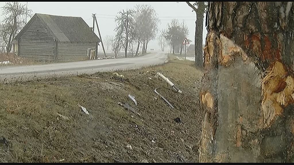 Per tragišką avariją žuvę jauni vyrai paliko našlaičių vaikų