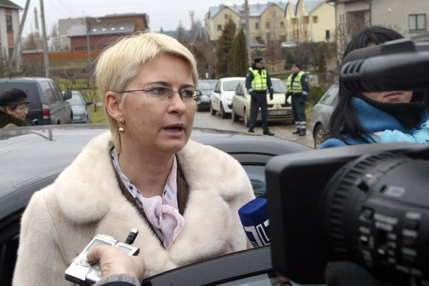 Paaiškėjo, kad teisininkė N.Venckienė susipainiojo įstatymų džiunglėse.