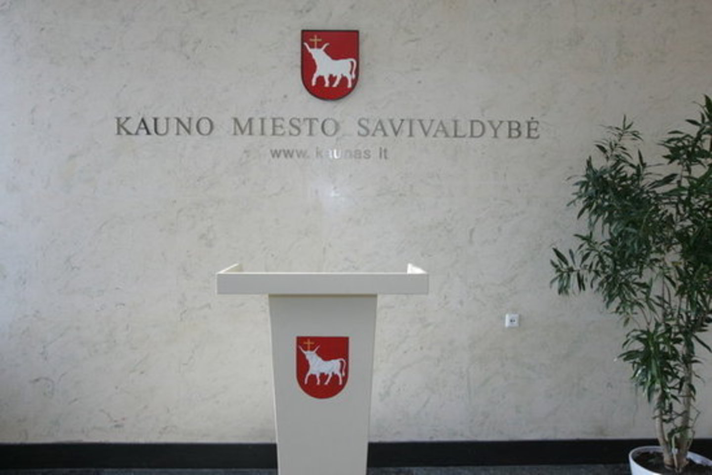 Kai kurie tarybos nariai siūlė ne naikinti savo sprendimą, o kreiptis į prokurorus.
