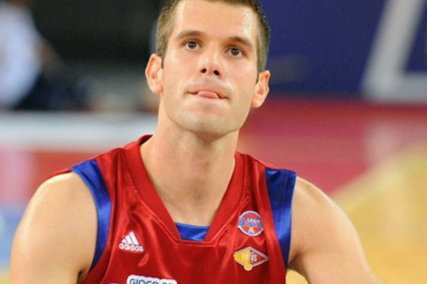 S.Bečirovičius.