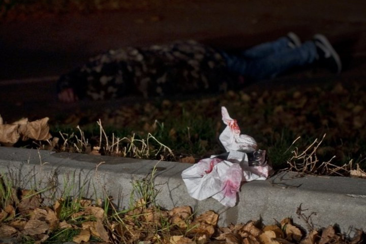 Sulaikyti du vyriškiai, įtariami 28 metų nužudymu.